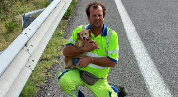 Cagnolino impaurito a bordo strada sulla SS77: lo salvano gli operatori dell'Anas. La reazione è commovente