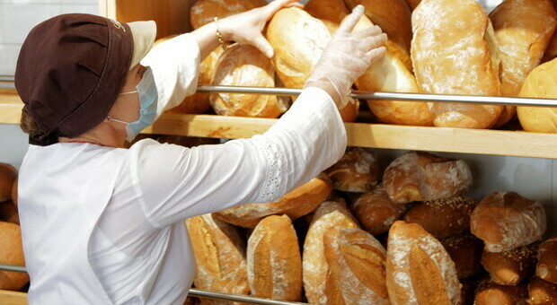 Alimentazione, dal grano al pane prezzi aumentati di 12 volte: 1 kg di pane è acquistato a un valore medio di 3,1 euro