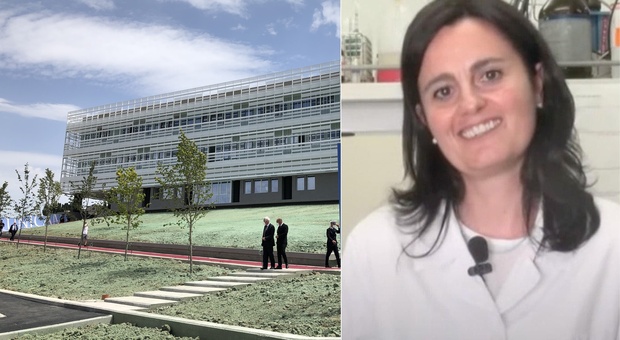 Unicam in lutto: la professoressa Stefania Scuri uccisa da una malattia a soli 47 anni