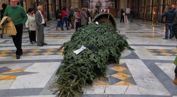 Napoli. Baby gang distrugge indisturbata l'albero di Natale in galleria | Vd Lettieri: basta tollerare la violenza di queste bande