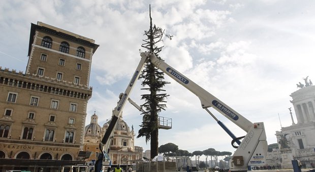Speraggio addio, smontato l'albero di piazza Venezia