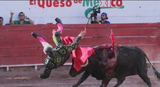 Messico, il torero incornato: resterà tetraplegico