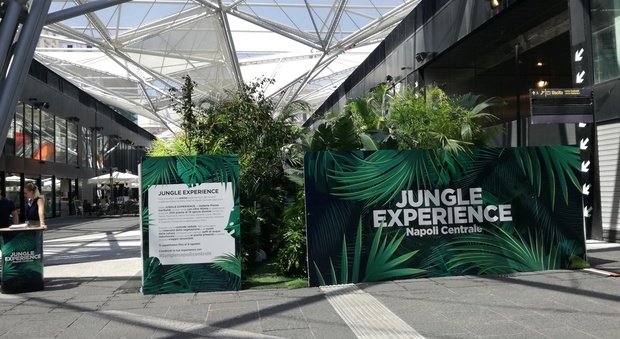 Un momento di relax tra liane e piante tropicali: la Jungle experience alla Stazione Centrale è l'antidoto all'afa