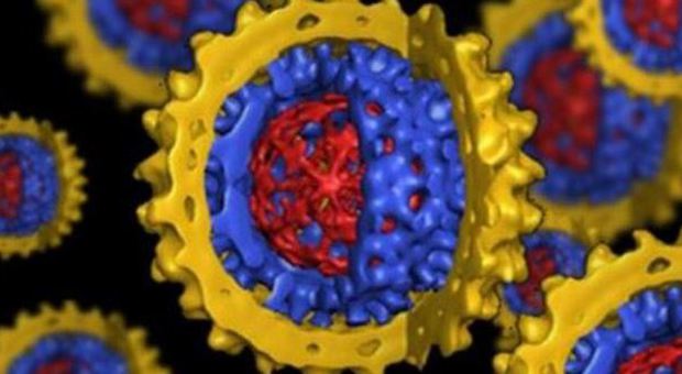 Epatite C, gli italiani non conoscono i rischi del virus: parte la campagna d'informazione