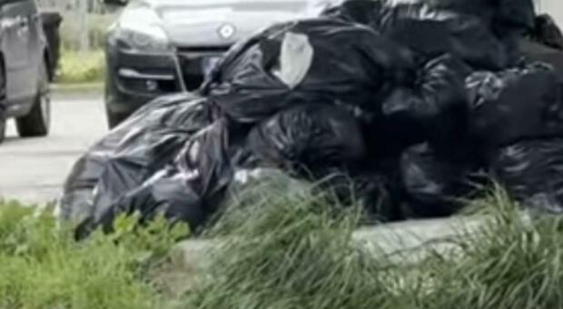Sacchi neri vietati e non raccolti: nel quartiere si accumula la spazzatura