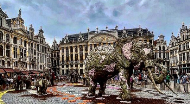 Bruxelles, “Flowertime 2023”_credits Birte Brussels Official Instagram