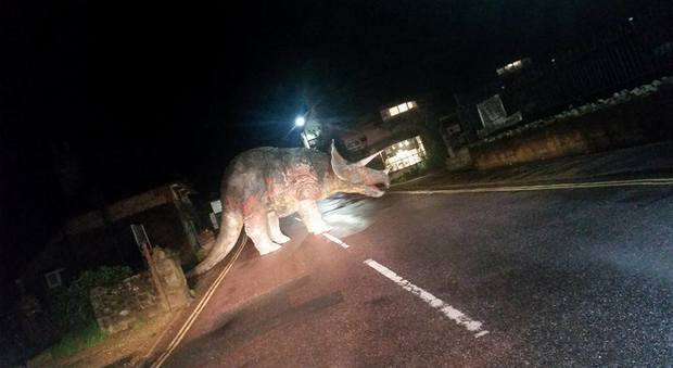 Il triceratopo abbandonato in strada