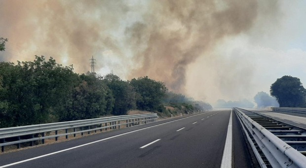 Grande incendio sul Carso: nel tratto Monfalcone-Trieste treni e autostrada bloccati in entrambe le direzioni