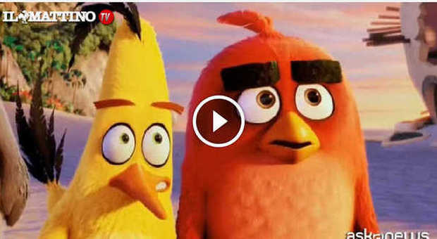 Angry Birds, a maggio arriva il film degli uccellini arrabbiati| Guarda il video