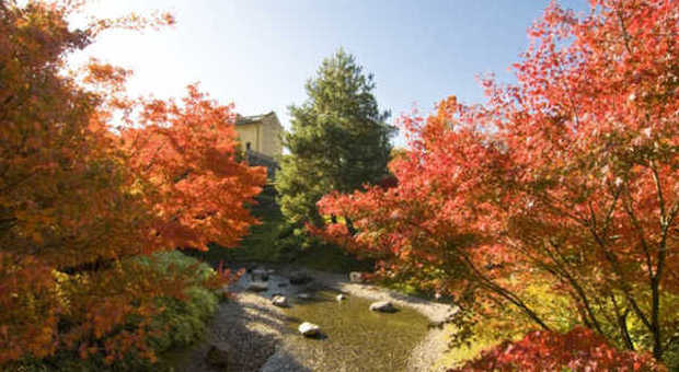 A Merano, nei giardini di Sissi: l'autunno dà spettacolo