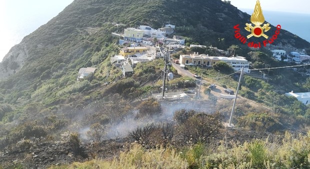 Ponza, incendio a Cala Feola: forse opera di piromani