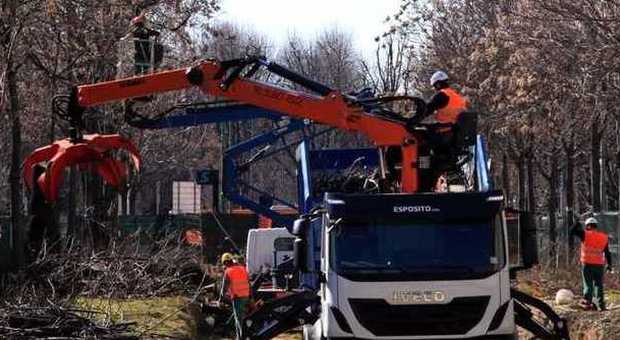 Milano, abbattuti 760 alberi per il cantiere del metrò 4