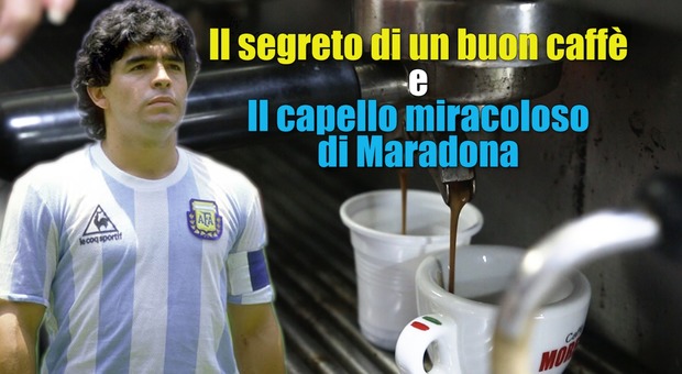 L'arte del caffè e il capello «miracoloso» di Maradona