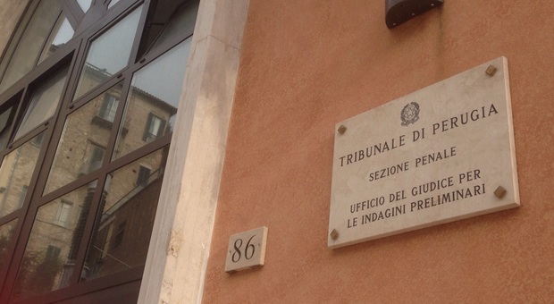 «Torturatore di gatti»: Perugia, nuove accuse sul garage degli orrori