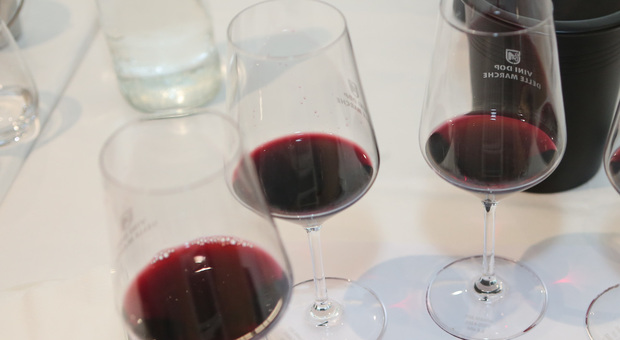 Boom del vino nelle Marche: 2017 nel segno delle nuove enoteche