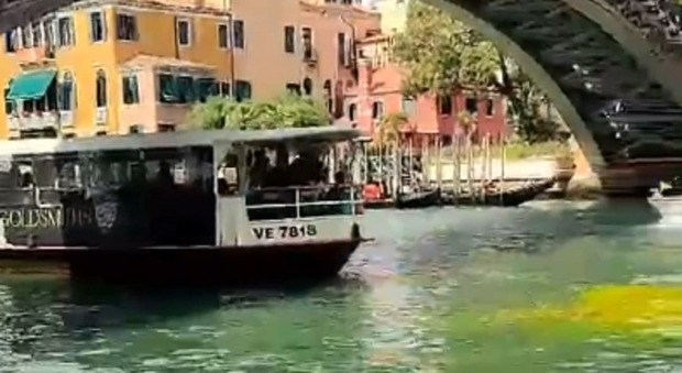 Venezia. Ancora acqua verde fluorescente nei canali: colorante versato da due eco-vandali francesi già identificati