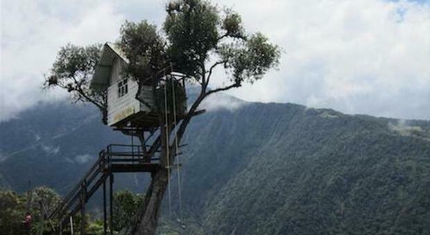 Clima, Bidoo.it regala 2000 alberi per creare foresta in Ecuador