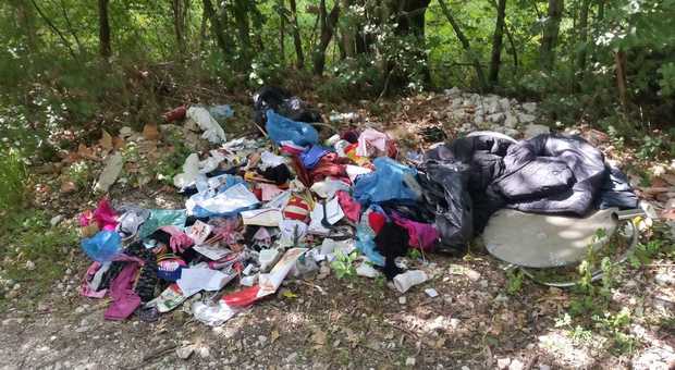 Foligno, rifiuti selvaggi abbandonati nel bosco: scattano le super multe da 600 euro. In azione l'ispettore ambientale