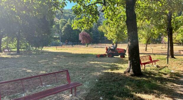 Parco del Borgo, arriva lo sfalcio dell'erba e la bonifica