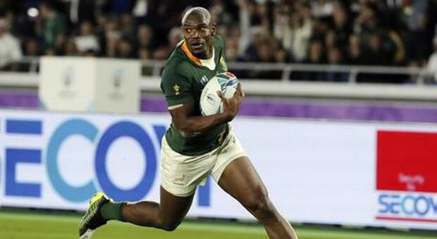 Il Sudafrica rinuncia al Rugby Championship che gioca in Australia