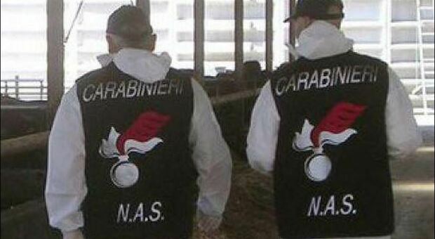 Due carabinieri del Nas