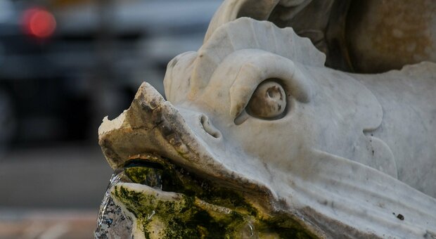 Roma, fontana di piazza Colonna deturpata. il Campidoglio: «Rotto il labbro di uno dei delfini»