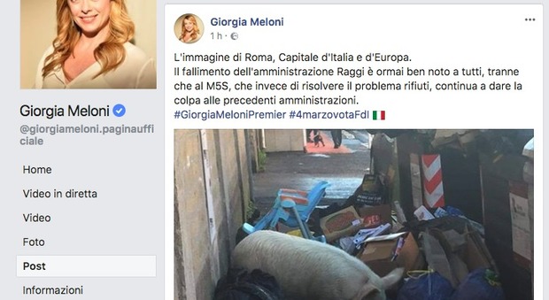 Giorgia Meloni, un maiale tra i rifiuti a Roma: "Il M5S ha fallito". La foto choc su Facebook