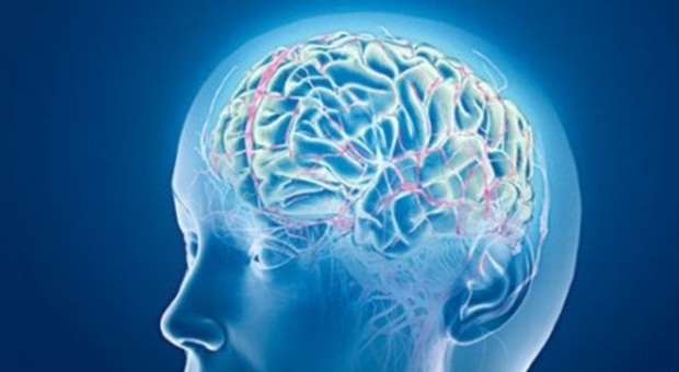 Le 4 peggiori abitudini per il cervello, secondo la scienza