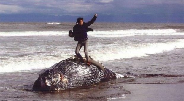 Si fa fotografare sulla balena morta: la foto che indigna il web vince un concorso