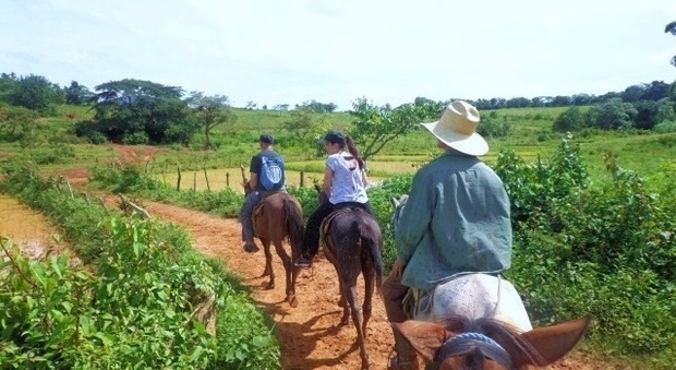 In sella al cavallo tra le magnifiche piantagioni di tabacco a Cuba
