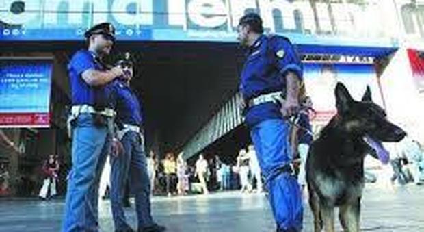 Roma, con un cane di grossa taglia rapinavano i turisti: due arresti