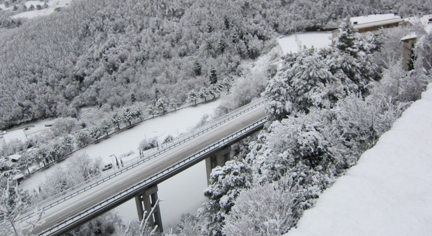 Ondata di gelo, nevica anche a bassa quota: fiocchi e problemi nelle zone  terremotate