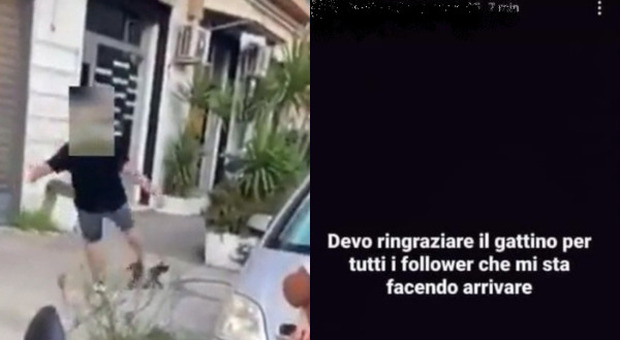 Gatto preso a calci a Casoria, denunciati due minorenni. Il post su Instagram: «Grazie a quel video ho più follower»