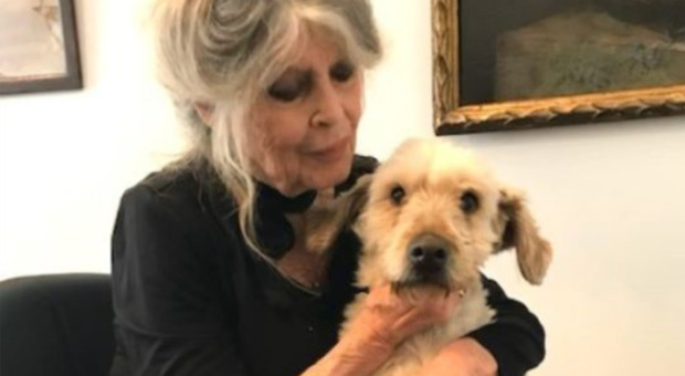 Brigitte Bardot «devastata dal dolore» per la morte del suo cane: «Era la mia ombra»