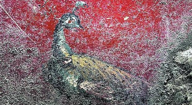 L'ultima scoperta di Pompei: ecco la Domus dei delfini