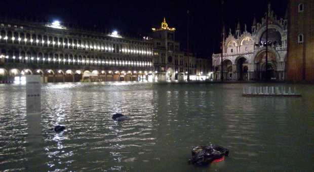 Maltempo, a Venezia acqua alta record: 183 centimetri, non accadeva dal 1966. Alberi caduti a Roma