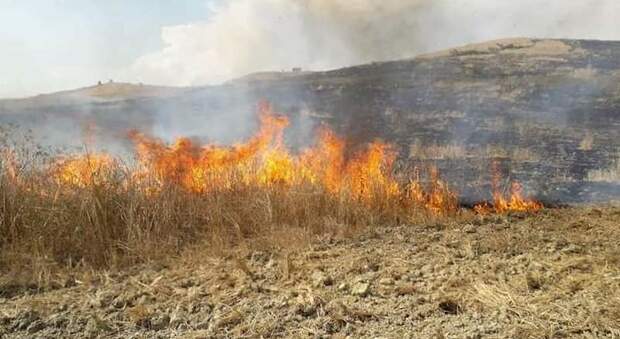 Attivato il piano antincendio boschivo dell'Università Agraria di Tarquinia