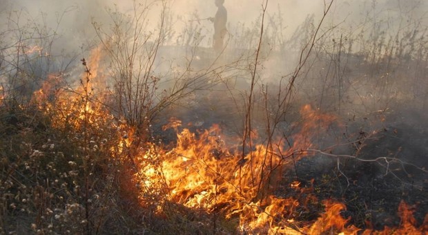 Rieti, sterpaglie in fiamme in Sabina pompieri al lavoro a Toffia e Montopoli