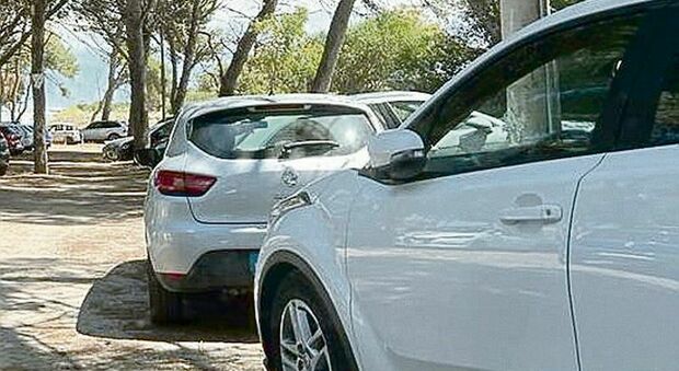 Pinete chiuse alle auto, parcheggio vietato nelle aree a macchia a Otranto. Ecco l'ordinanza del Comune