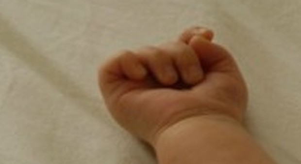 Ferrara, neonata trovata nel freezer, l'autopsia rivela: «Era nata viva»