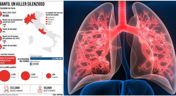 Tumori, l'allarme degli oncologi: «In Italia l'amianto è ovunque. Per i casi di mesotelioma siamo alla punta dell'iceberg»