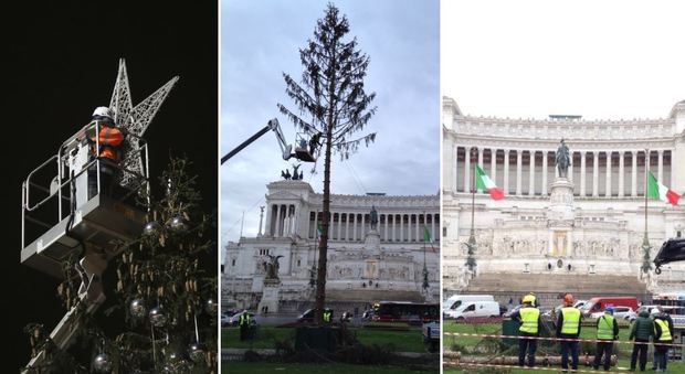 Il funerale mesto di Spelacchio e l'accusa della Corte dei Conti: «Danno d’immagine per Roma»