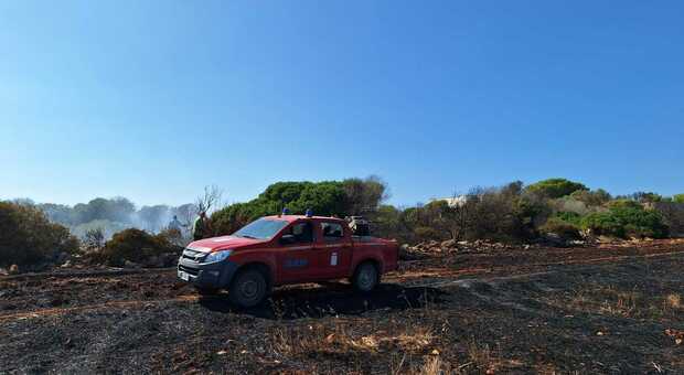 Salento, incendio a Torre Inserraglio: distrutti tre ettari di macchia mediterranea