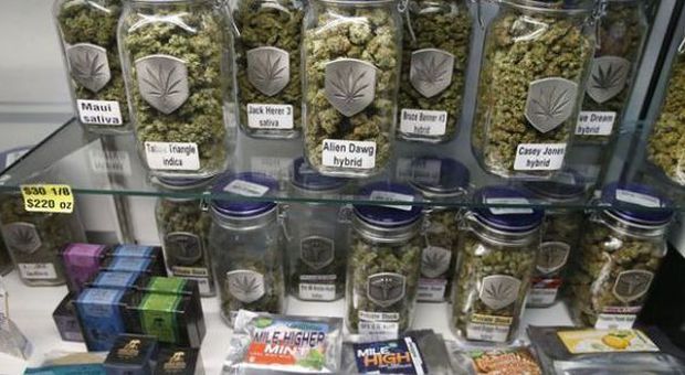 La Marijuana legale fa volare l'economia in Colorado: un miliardo di vendite