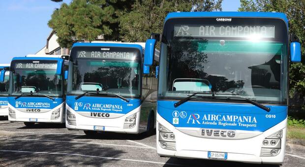 Alcuni bus Air Campania