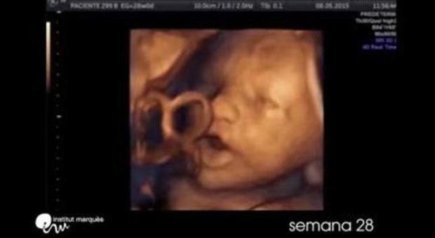 Il feto nel video