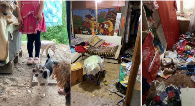 Bambina di sei anni viveva in un canile sotterraneo con 25 cani: spazzatura e cibo sparsi ovunque
