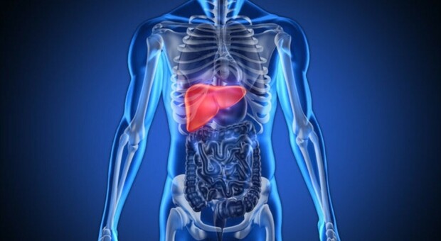 Tumore, il diabete mellito e il legame con le neoplasie: fegato e pancreas i più colpiti
