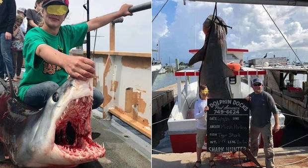 Due ragazzini di 10 e 13 anni, con gli squali uccisi per sport. (immagini pubbl da Dolphin Docks Deep Sea Fishing su Fb)