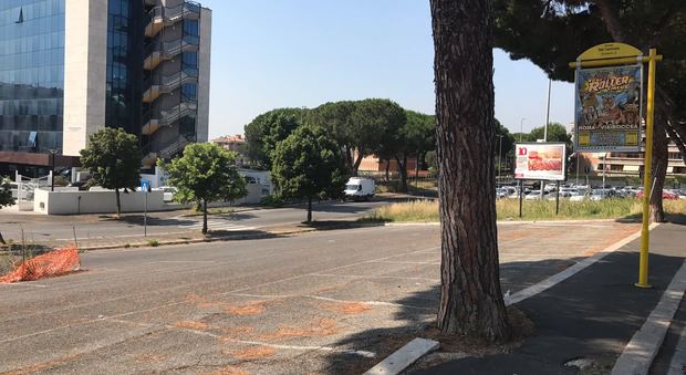 Roma, giallo all'Aurelio: uomo trovato morto in strada vicino alla fermata del bus